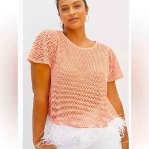 Anthropologie Eva Franco Knit Feathered Flutter Sleeve Top